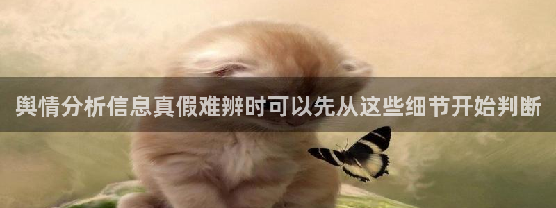 91吃瓜资讯网站