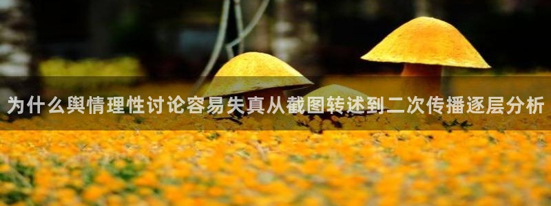 91吃瓜网络信息