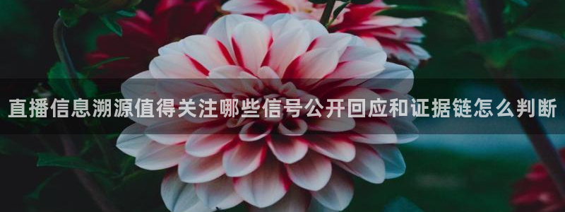 91吃瓜导航