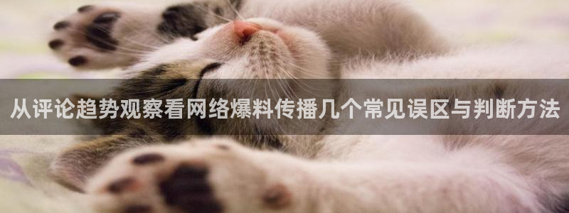 吃瓜在线观看网页