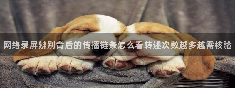吃瓜最新网址入口
