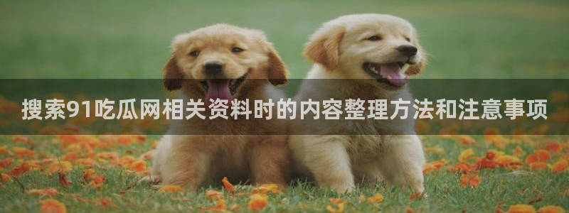 91吃瓜网络事件
