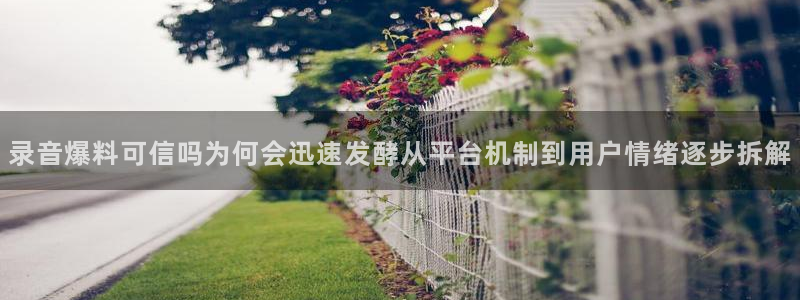 91吃瓜内容大全